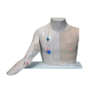 Chester-Chest-Centralis-venas-kanulalast-oktato-modell